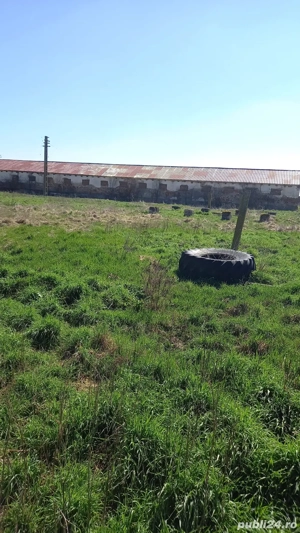 Fermă zoothenică 5.85 hectare - imagine 4