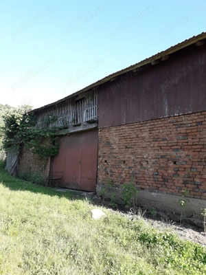 Vand casa 254 MP +  curte 439 MP  + teren intravilan 1.5 HA - Borlovenii-Noi, judetul Caras-Severin - imagine 4