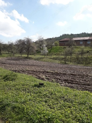 Vand casa 254 MP +  curte 439 MP  + teren intravilan 1.5 HA - Borlovenii-Noi, judetul Caras-Severin - imagine 15