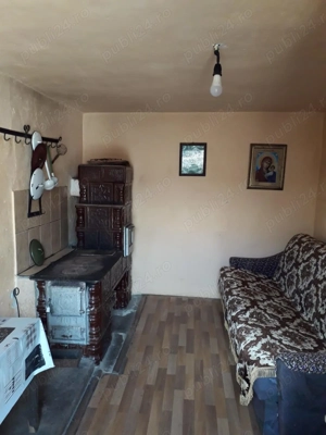 Vand casa 254 MP +  curte 439 MP  + teren intravilan 1.5 HA - Borlovenii-Noi, judetul Caras-Severin - imagine 12