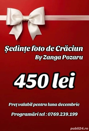 Sedinte foto de Craciun Timisoara 