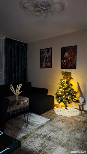 Apartament regim hotelier Podu Ros - imagine 4
