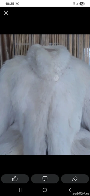 Haina blana vulpe argintie 