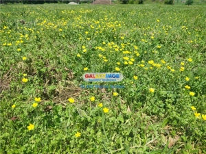 Vanzare teren intravilan Targoviste - imagine 6