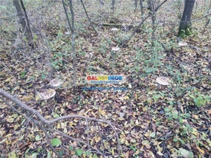 Vanzare teren intravilan Targoviste - imagine 7