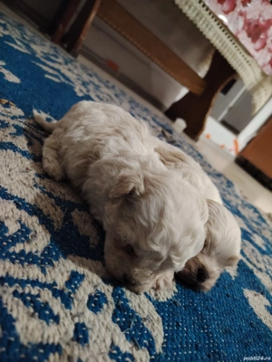 vand fata si băiat - imagine 3