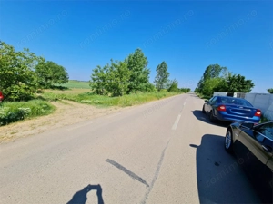 Teren 3000 mp - Comuna 1 Decembrie - Ilfov - imagine 4