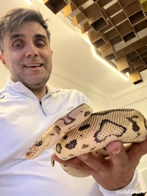 angajam ingrijitor si manipulator reptile si rozaatoare in magazin specializat. - imagine 4