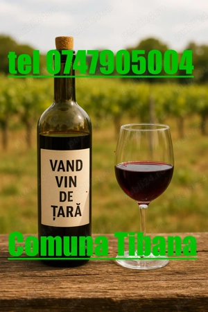 vin de tara comuna Tibana