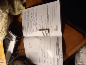 Vand caniche !  - imagine 2