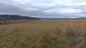 Teren agricol extravilan 2 ha in comuna Saschiz Mures - imagine 2