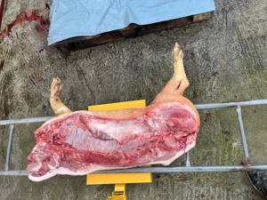 Carcasa porc întreg sau jumătate 