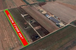 Teren intravilan Dascalu 7700 mp (langa Club echitatie) - imagine 2