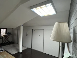 Vila de inchiriat Clinceni, 4 camere, 600 mp curte  - imagine 17