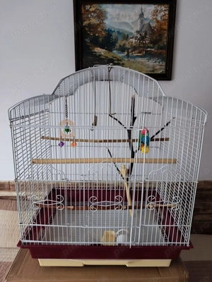 Vand colivie mare pentru perusi   nimfe