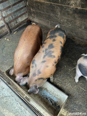 porti de vanzare  - imagine 5