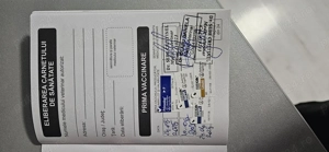 Bichon Havanez mascul 9 luni