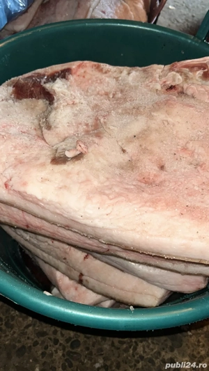 vand slanina  - imagine 2