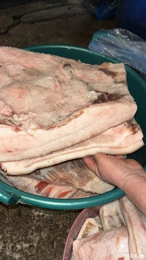 vand slanina  - imagine 4