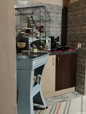 Vând cușcă papagali  - imagine 3