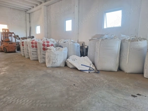 Vindem floarea soarelui 