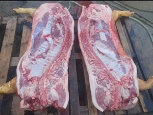 De vânzare carcasă de porc 