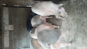 De vanzare  - imagine 2