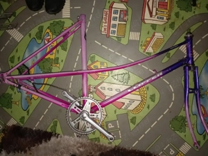 Cadre cursieră damă 3 modele CLIPPER,MAXimal,EMS