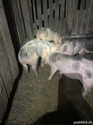 De vanzare! - imagine 4