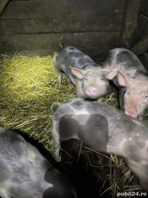 De vanzare! - imagine 5