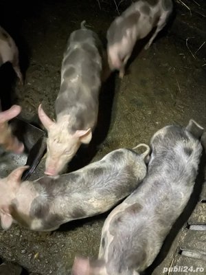 De vanzare! - imagine 2