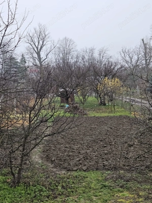  Un colț de liniște în inima Oradiei   teren de vânzare pe strada Făcliei  - imagine 6