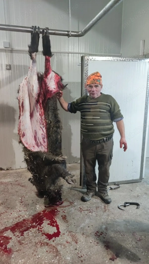 Porci de tăiat  - imagine 2