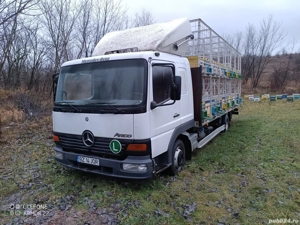 camion apicol Mercedes Atego 