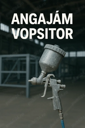 Angajam Vopsitor Industrial