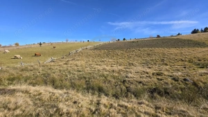 Teren extravilan, 4130mp, cu parau, la 500m de Primaria Marisel - imagine 10