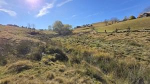 Teren extravilan, 4130mp, cu parau, la 500m de Primaria Marisel - imagine 8