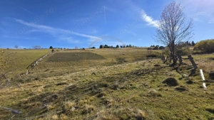 Teren extravilan, 4130mp, cu parau, la 500m de Primaria Marisel - imagine 11