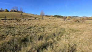 Teren extravilan, 4130mp, cu parau, la 500m de Primaria Marisel - imagine 7