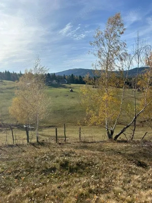 vând teren in Călățele Padure - imagine 3