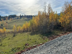 vând teren in Călățele Padure - imagine 2