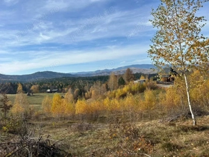 vând teren in Călățele Padure - imagine 5