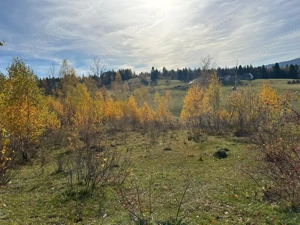 vând teren in Călățele Padure - imagine 4