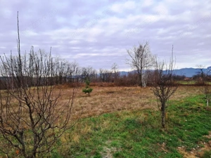 TEREN INTRAVILAN POLOVRAGI - imagine 8