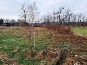 TEREN INTRAVILAN POLOVRAGI - imagine 7