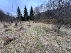 Teren intravilan 6.500 m²–Deschidere 144 ml drum european E81, km 35, Morăresti
