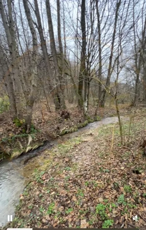 Teren intravilan 6.500 m²–Deschidere 144 ml drum european E81, km 35, Morăresti - imagine 3