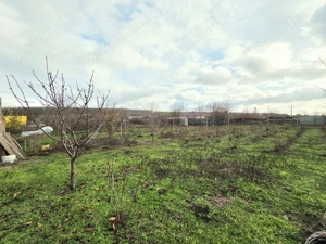 Casă pe structură de lemn   Construcție modernă, eficientă și durabilă la Schela  - imagine 3