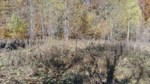 vand teren intravilan in Paraul Rece