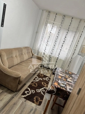Apartament 1 camera, 32 mp, etaj 1, petfriendly, Sagului